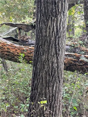 $357,500 | East 270th Avenue, Blythedale, MO 64426