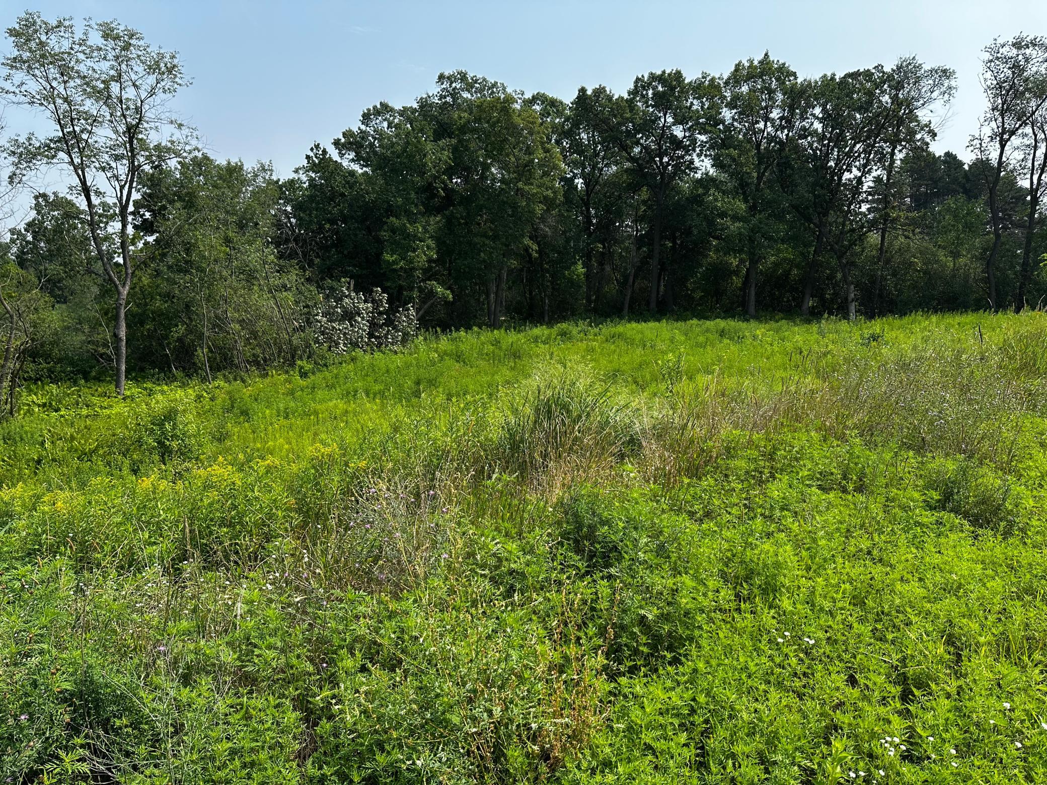 8 Pondview Trail North Oaks, MN 55127 - Photo 2 of 6