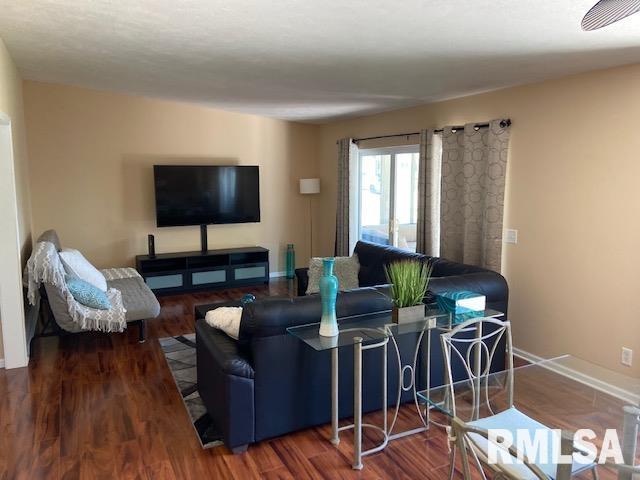 1040 Lakeview Road North Dahinda, IL 61428 - Photo 5 of 19 Gallery Image 5