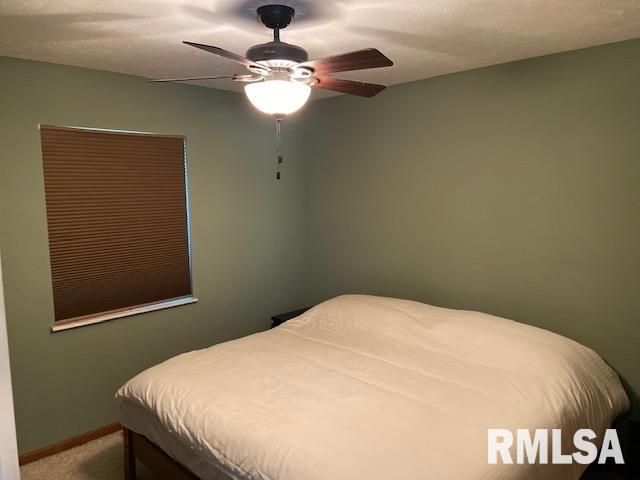 1040 Lakeview Road North Dahinda, IL 61428 - Photo 8 of 19 Gallery Image 8