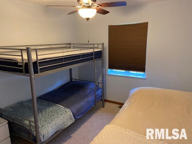 1040 Lakeview Road North Dahinda, IL 61428 - Photo 9 of 19 Gallery Image 9