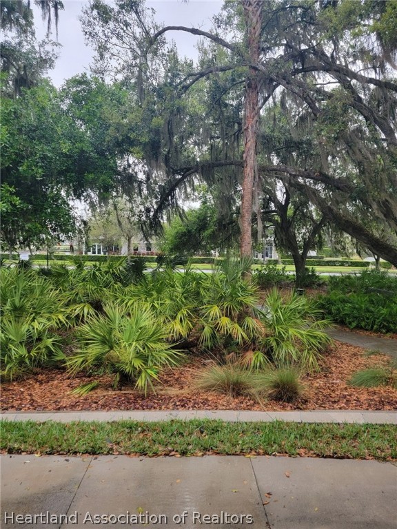 5713 Colony Road Lithia, FL 33547 - Photo 8 of 9 Gallery Image 8