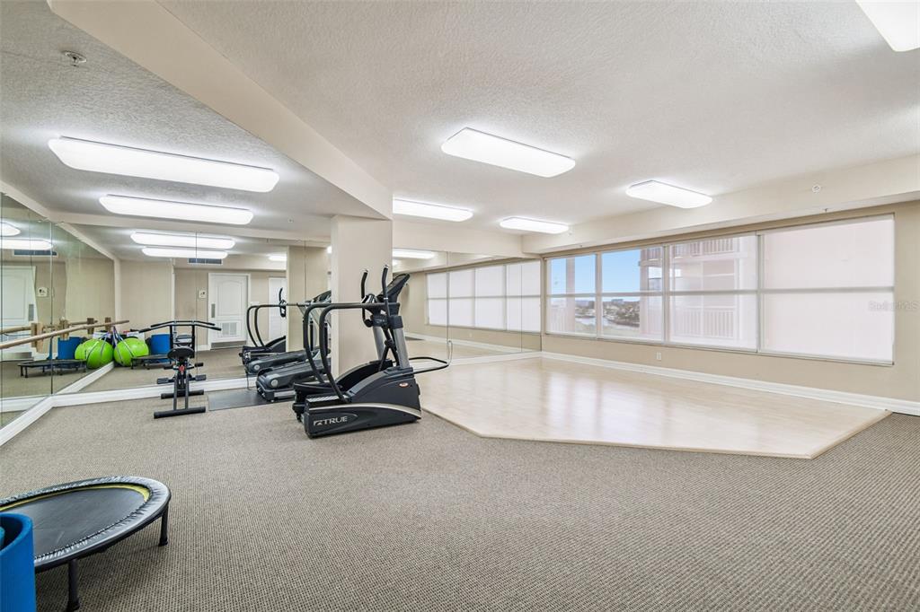 4516 Seagull Drive, Unit 807 New Port Richey, FL 34652 - Photo 50 of 100 a view of a room with gym equipment