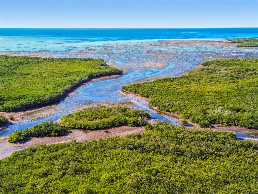 4516 Seagull Drive, Unit 807 New Port Richey, FL 34652 - Photo 75 of 100