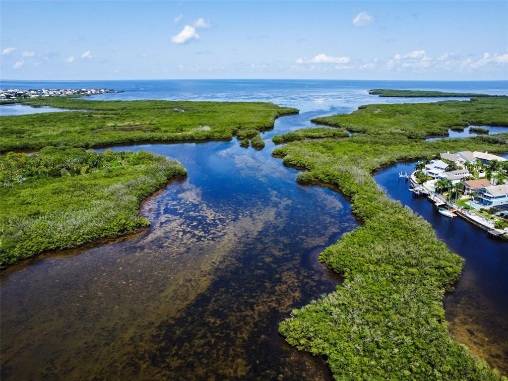 4516 Seagull Drive, Unit 807 New Port Richey, FL 34652 - Photo 77 of 100