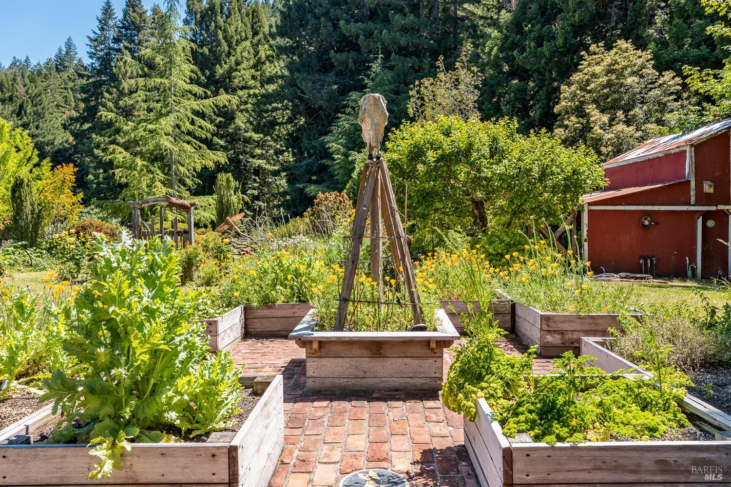 31501 Comptche Ukiah Road Comptche, CA 95427 - Photo 40 of 85 Veggie Garden