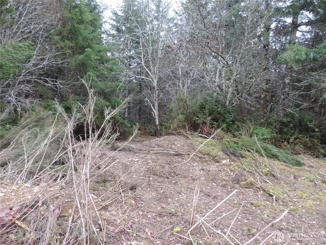 $149,900 | 4 East Cottonwood Drive, Grapeview, WA 98546