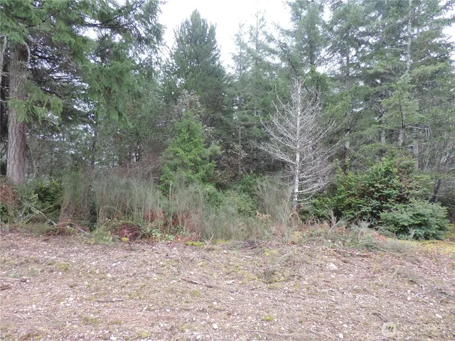 $149,900 | 4 East Cottonwood Drive, Grapeview, WA 98546