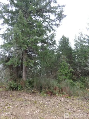 $149,900 | 4 East Cottonwood Drive, Grapeview, WA 98546