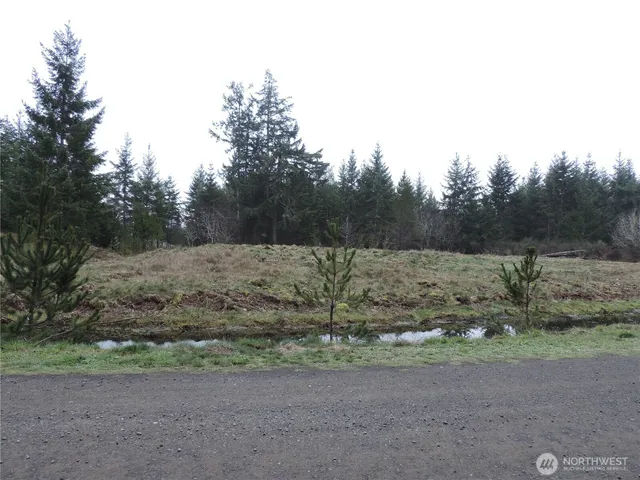 $149,900 | 4 East Cottonwood Drive, Grapeview, WA 98546