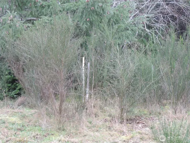 $149,900 | 4 East Cottonwood Drive, Grapeview, WA 98546