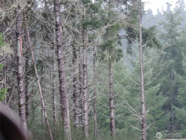 $149,900 | 4 East Cottonwood Drive, Grapeview, WA 98546