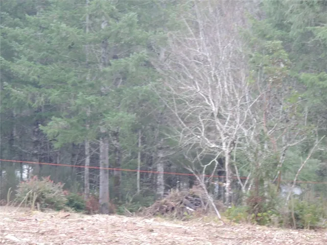 $149,900 | 4 East Cottonwood Drive, Grapeview, WA 98546