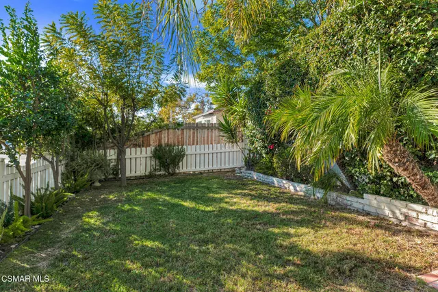 a view of a yard with plants and large trees