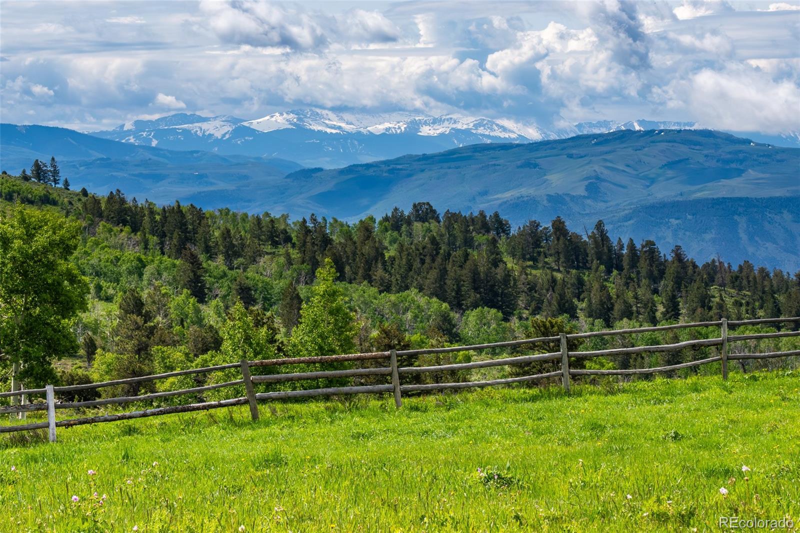 34755 Long Ridge Drive Toponas, CO 80479 - Photo 12 of 40 a view of a field with a yard