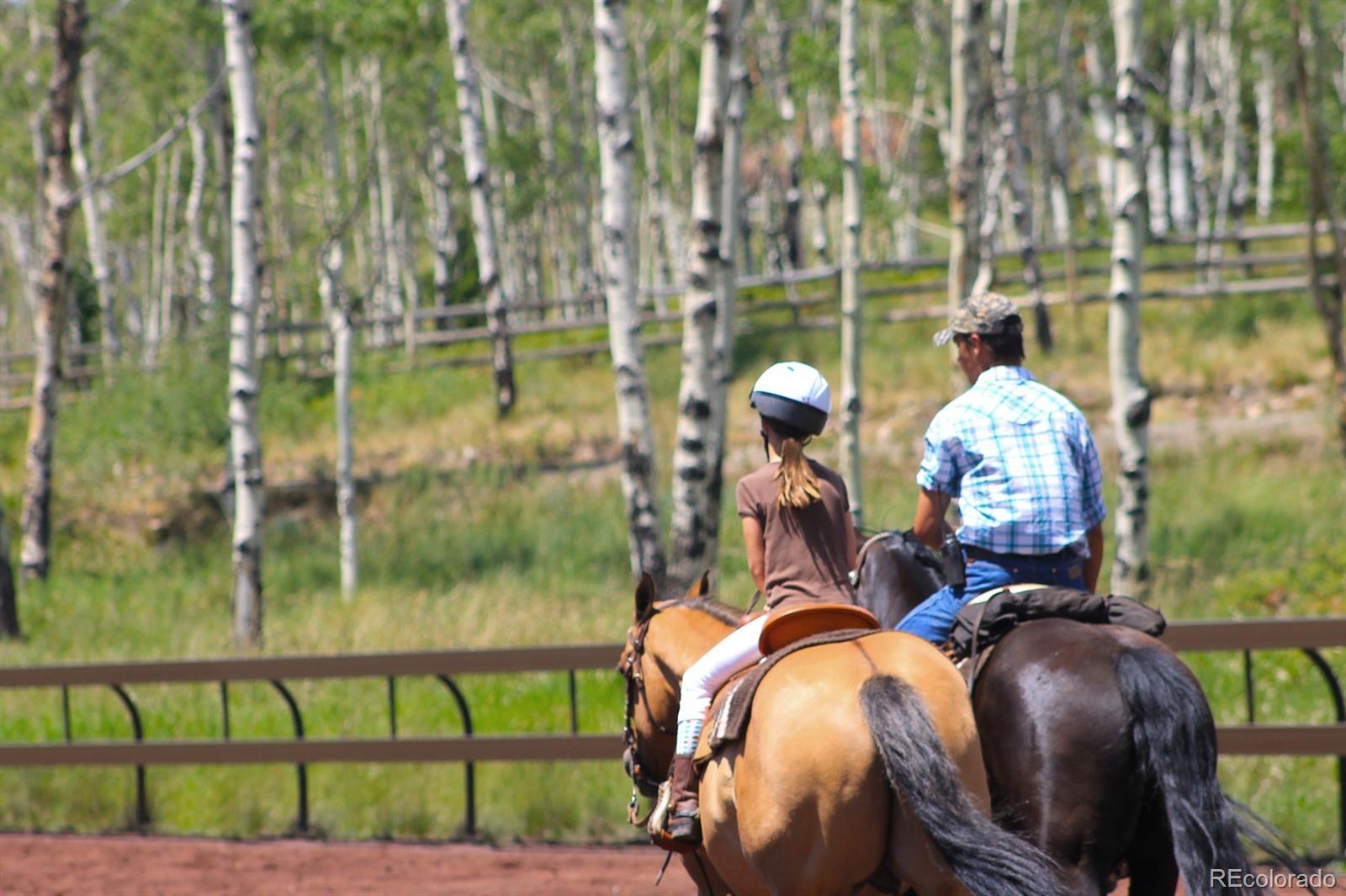 34755 Long Ridge Drive Toponas, CO 80479 - Photo 30 of 40 a view of swimming pool from a balcony