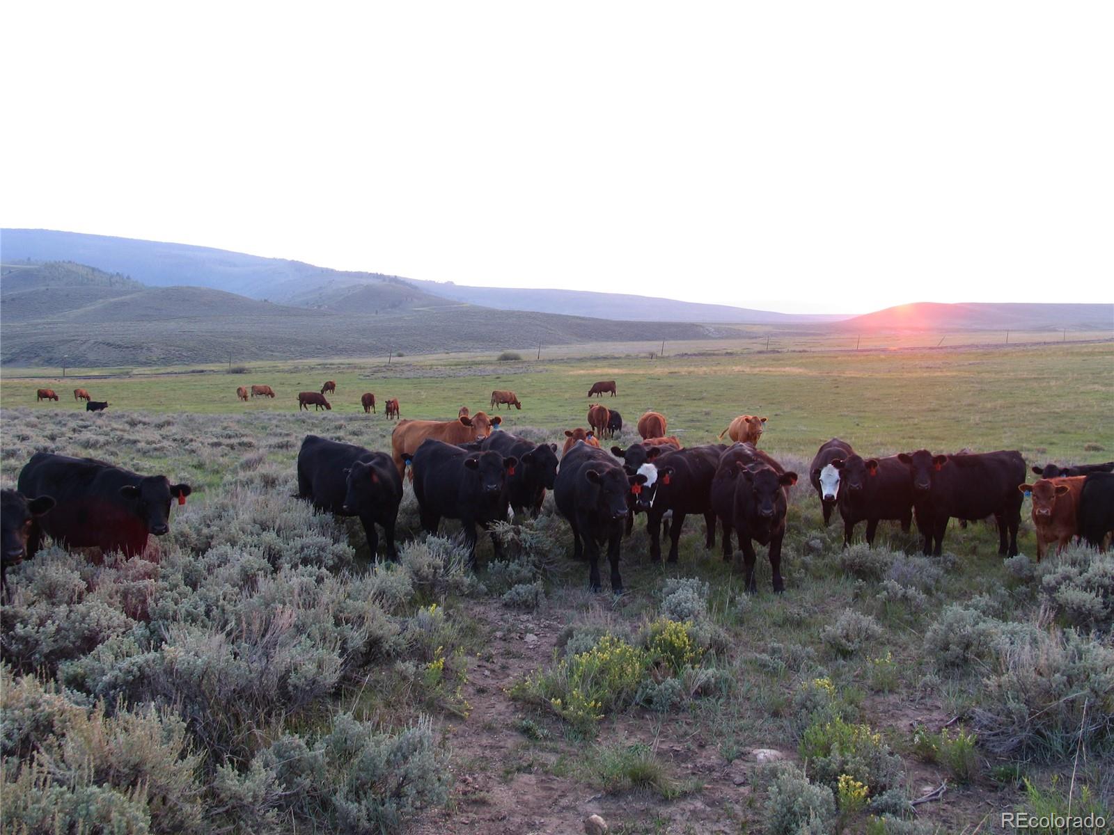 34755 Long Ridge Drive Toponas, CO 80479 - Photo 38 of 40 a view of outdoor space and mountain view