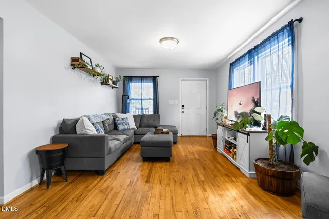 a living room with furniture and a potted plant
