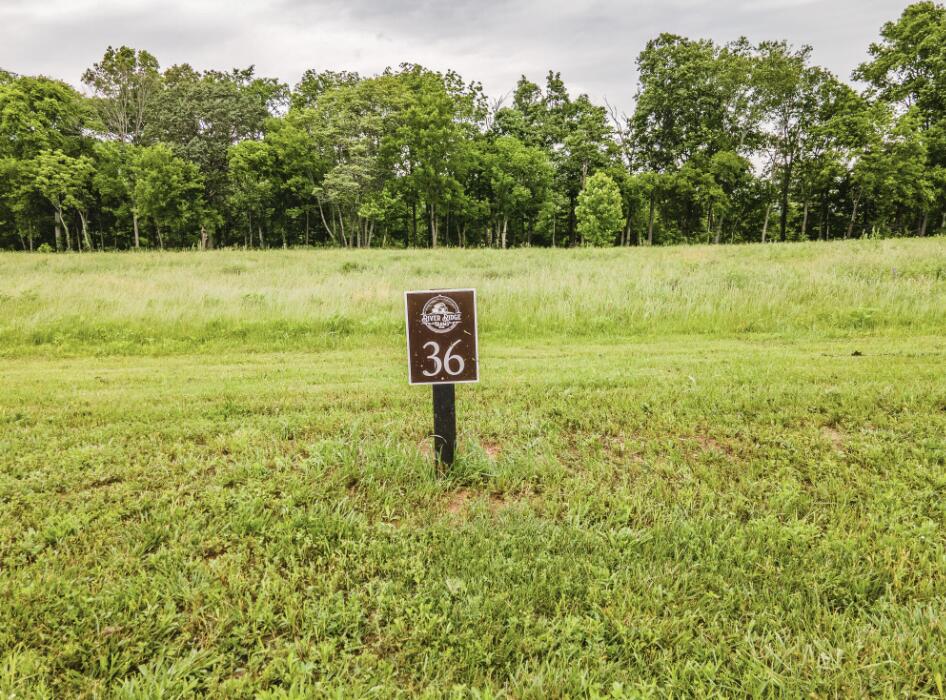 Lot 36 River Ridge Drive Dunlap, TN 37327 - Photo 2 of 26 Lot 36