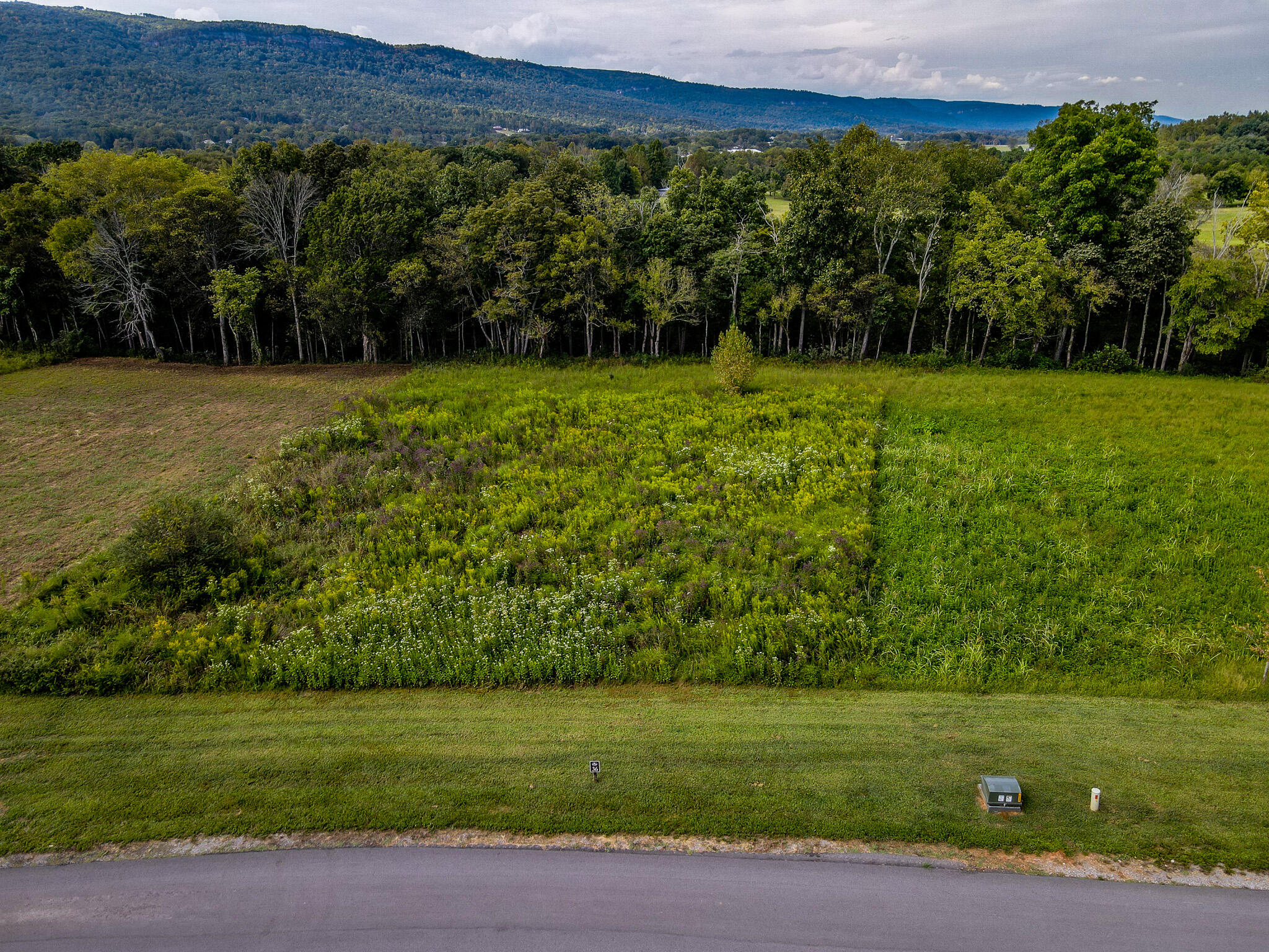 Lot 36 River Ridge Drive Dunlap, TN 37327 - Photo 8 of 26 Lot 36