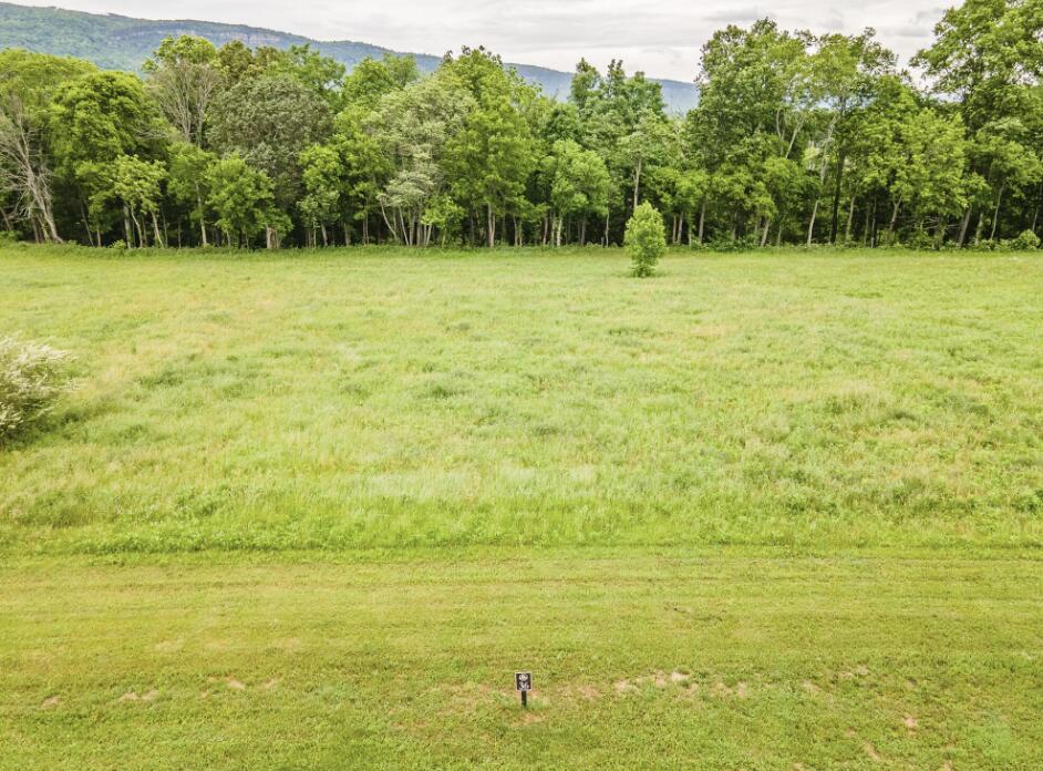Lot 36 River Ridge Drive Dunlap, TN 37327 - Photo 9 of 26 Lot 36