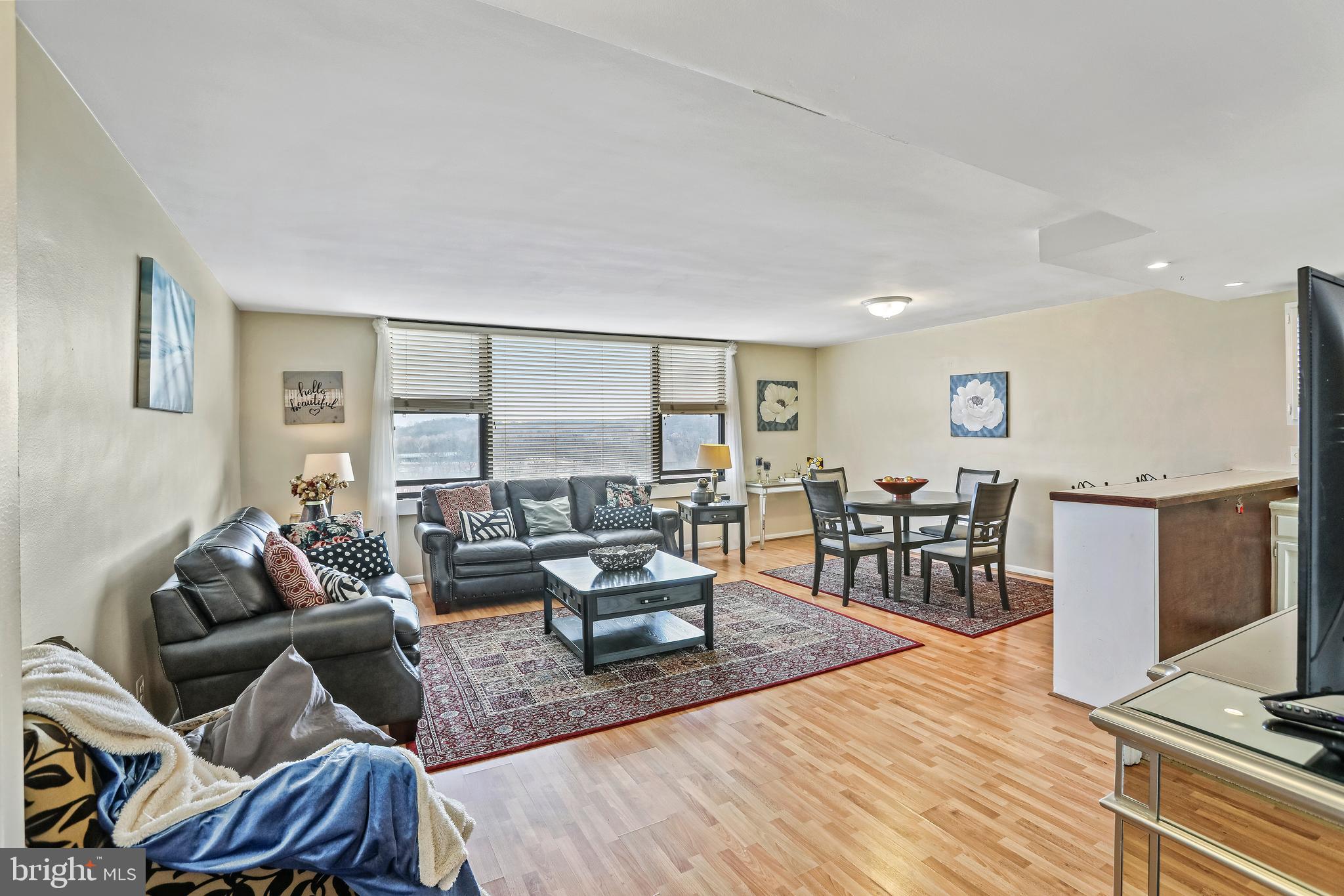 4600 Duke Street, Unit 1017 Alexandria, VA 22304 - Photo 5 of 15