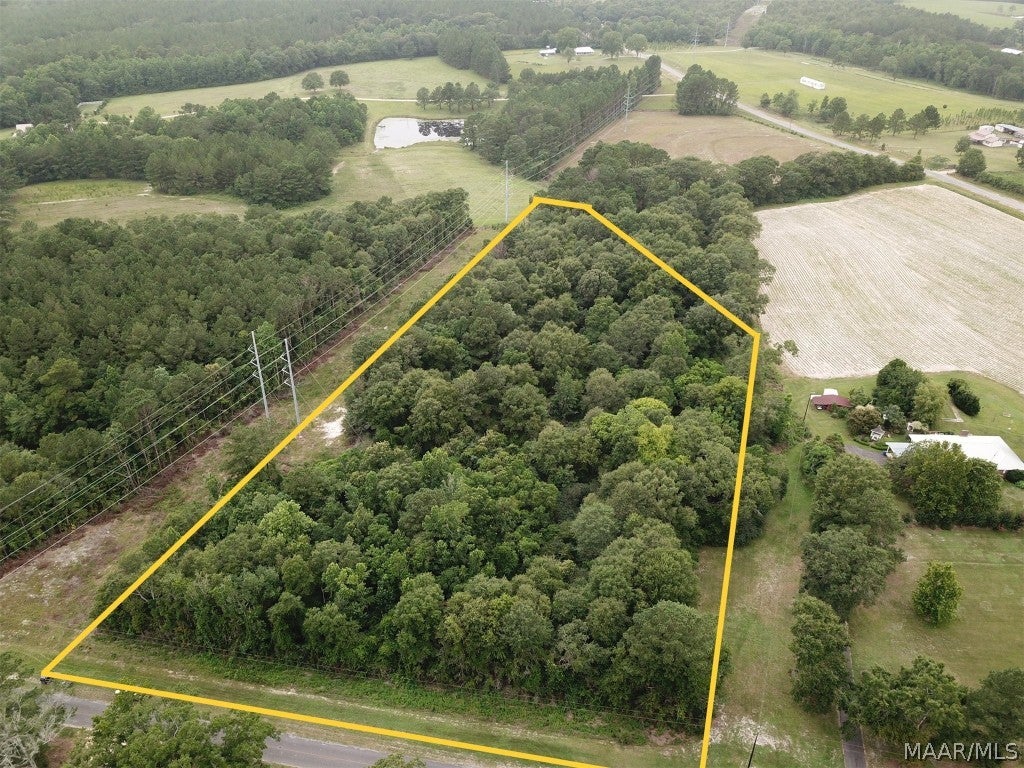 18-acres Leon Wiggins Road Andalusia, AL 36420 - Photo 2 of 6 Gallery Image 2