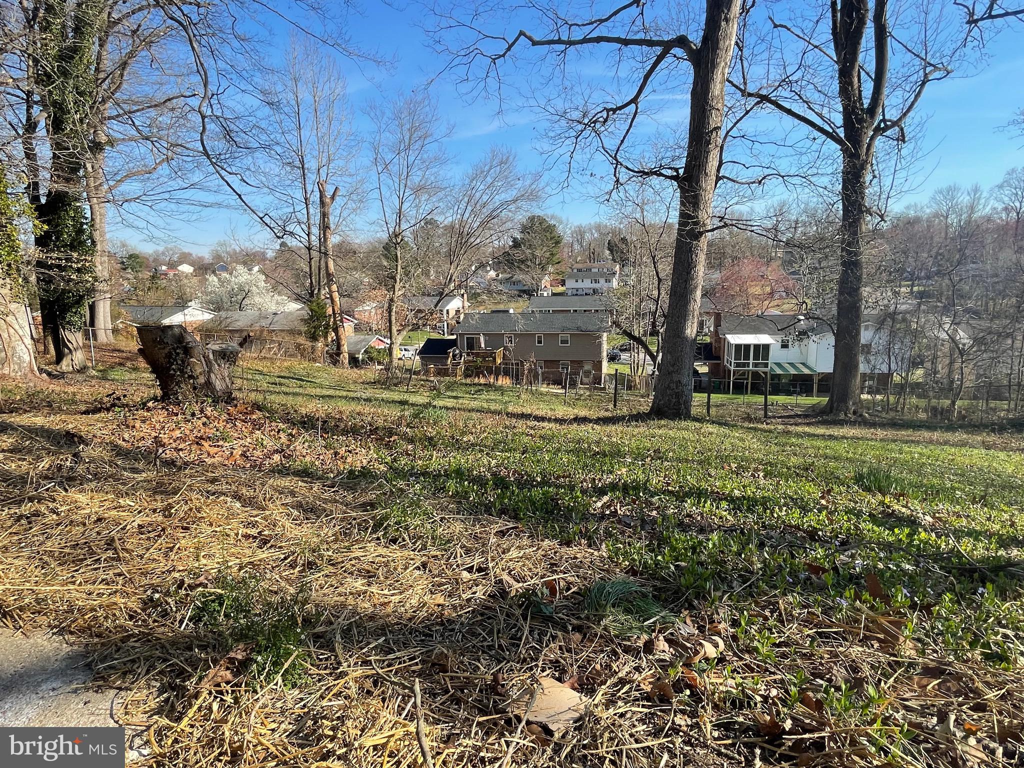 6107 Buckler Road Clinton, MD 20735 - Photo 33 of 45 a view of a park that has a tree