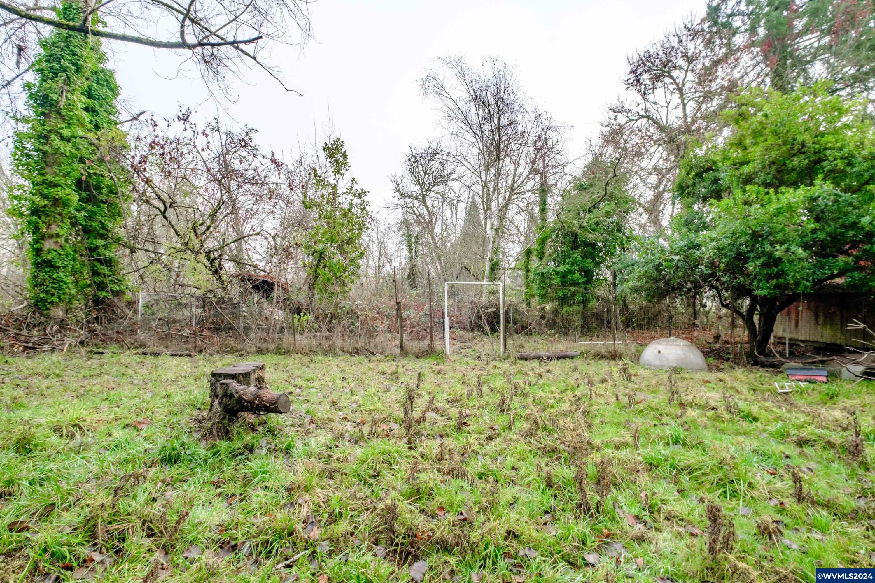 Lot 302 Cameo (behind) Road Salem, OR 97304 - Photo 25 of 31