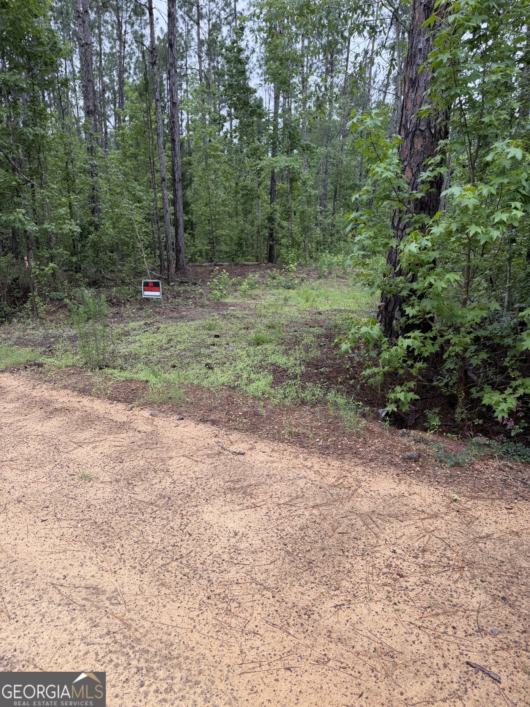 0 Highway 46 Cadwell, GA 31009 - Photo 1 of 2 a view of a forest with trees
