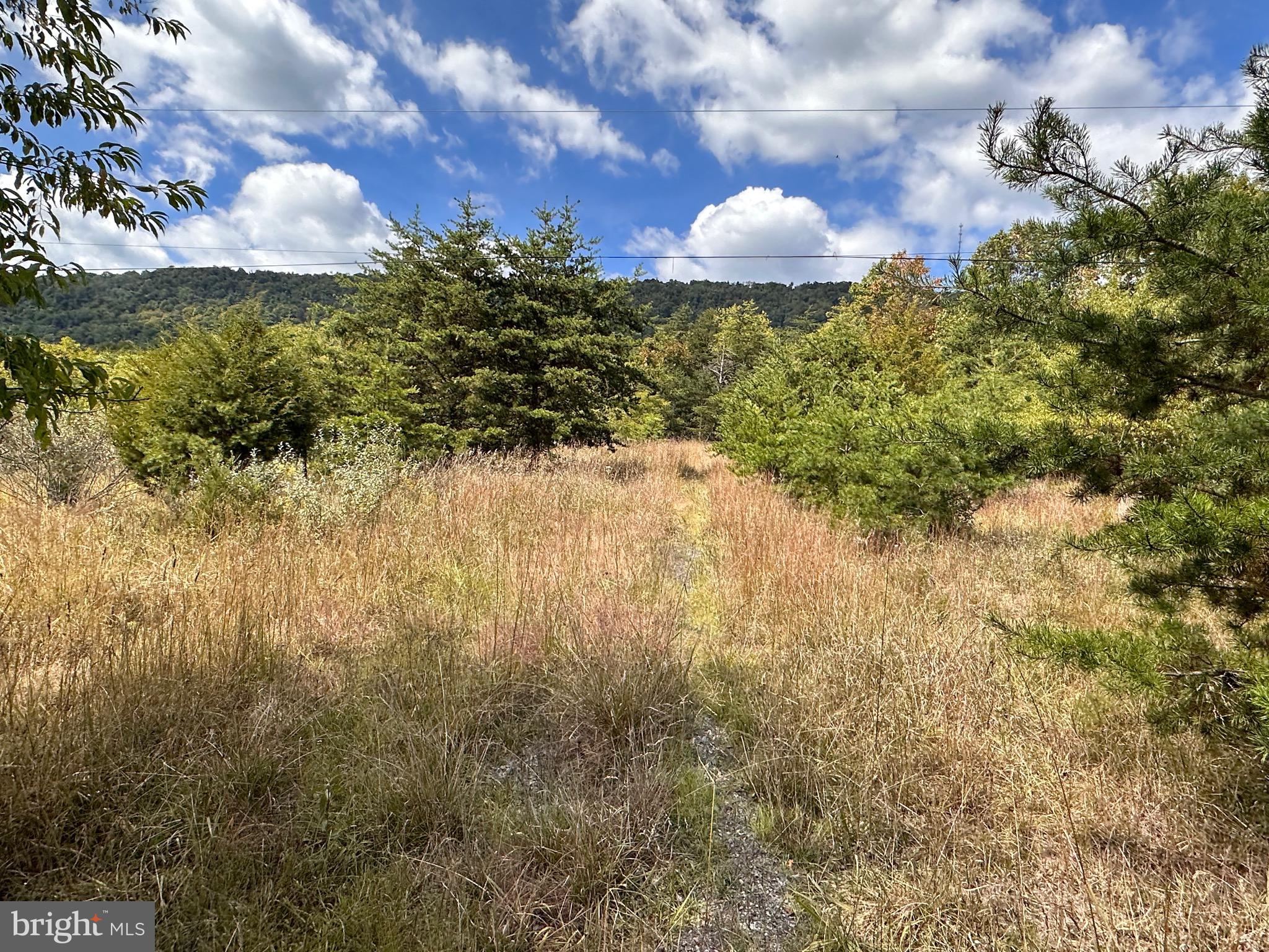 Knobley Road Keyser, WV 26726 - Photo 4 of 19