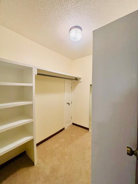 186 Mcmillan Road Cordova, SC 29039 - Photo 20 of 68 MBR Closet