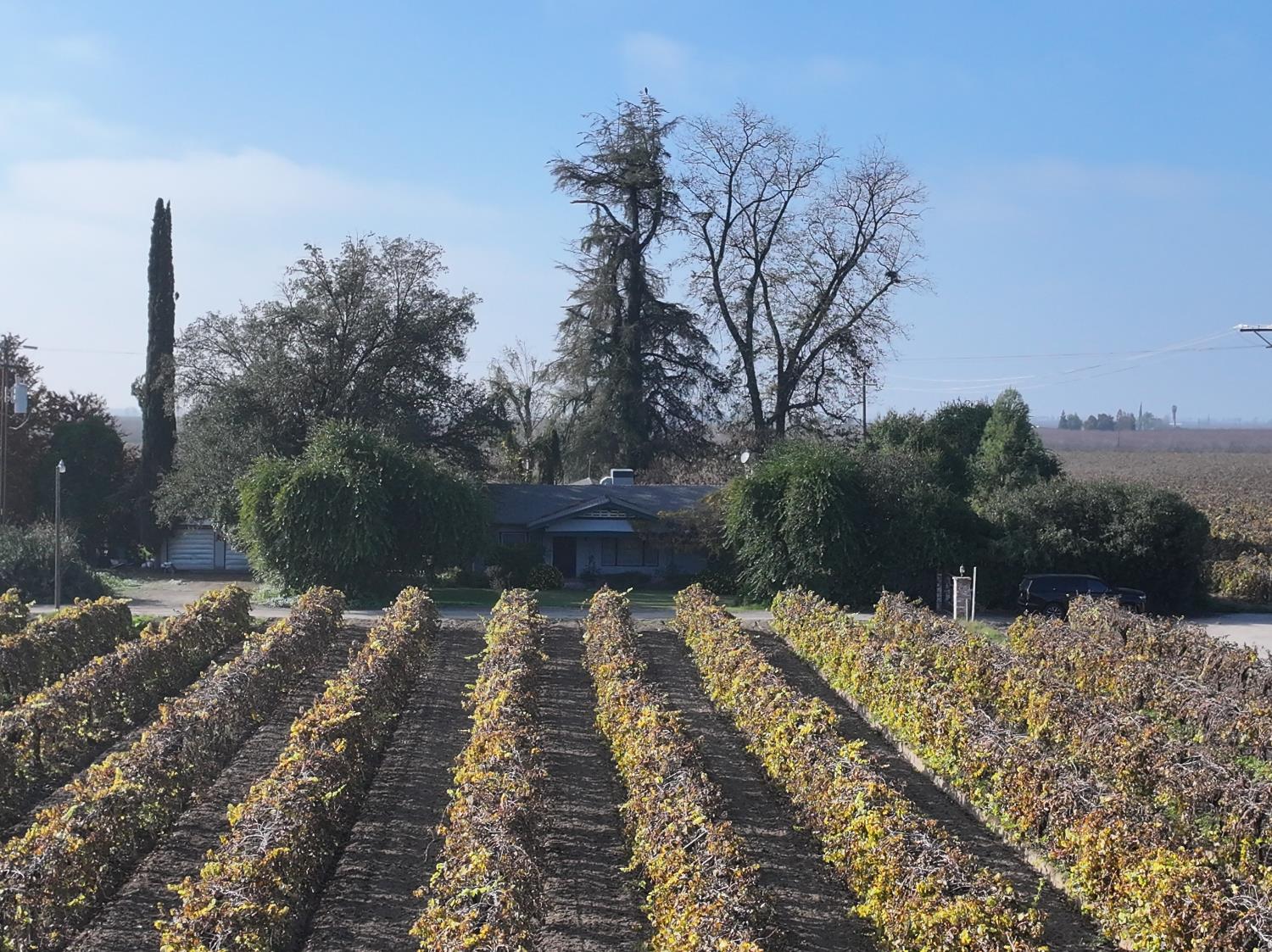 a view of a yard with wooden fence