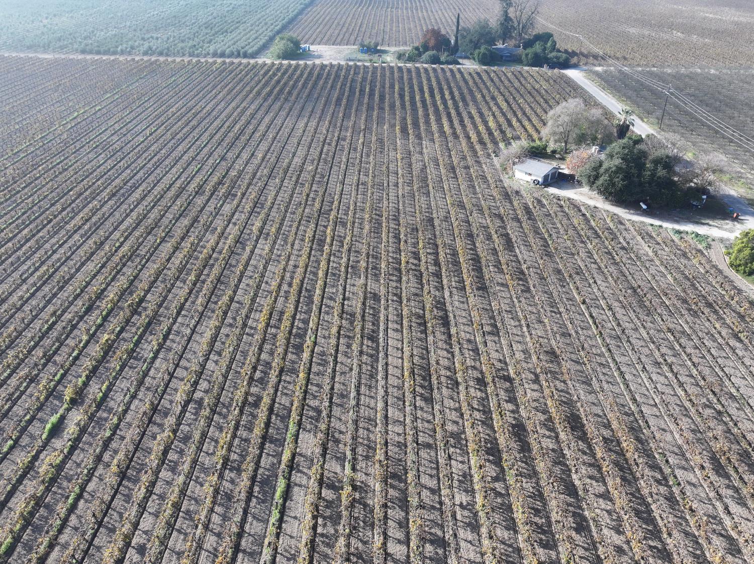 4801 East Parlier Avenue Fowler, CA 93625 - Photo 26 of 52 a picture of street view