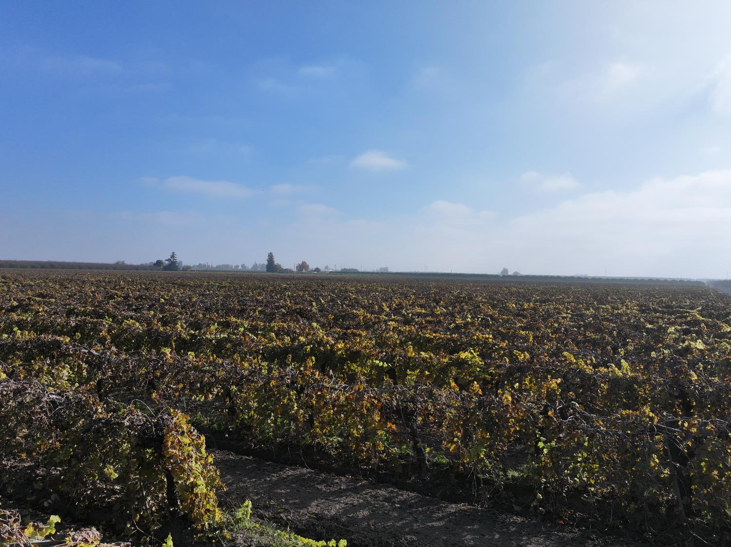 4801 East Parlier Avenue Fowler, CA 93625 - Photo 3 of 52 an aerial view of multiple house