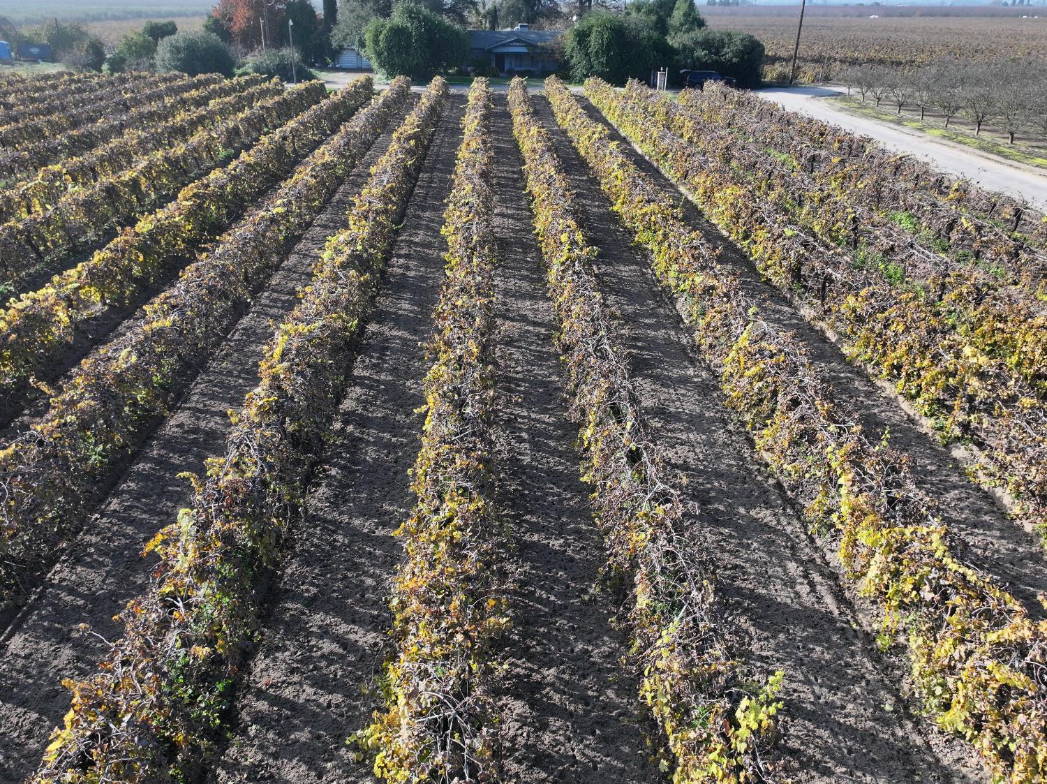 4801 East Parlier Avenue Fowler, CA 93625 - Photo 31 of 52 a view of outdoor space