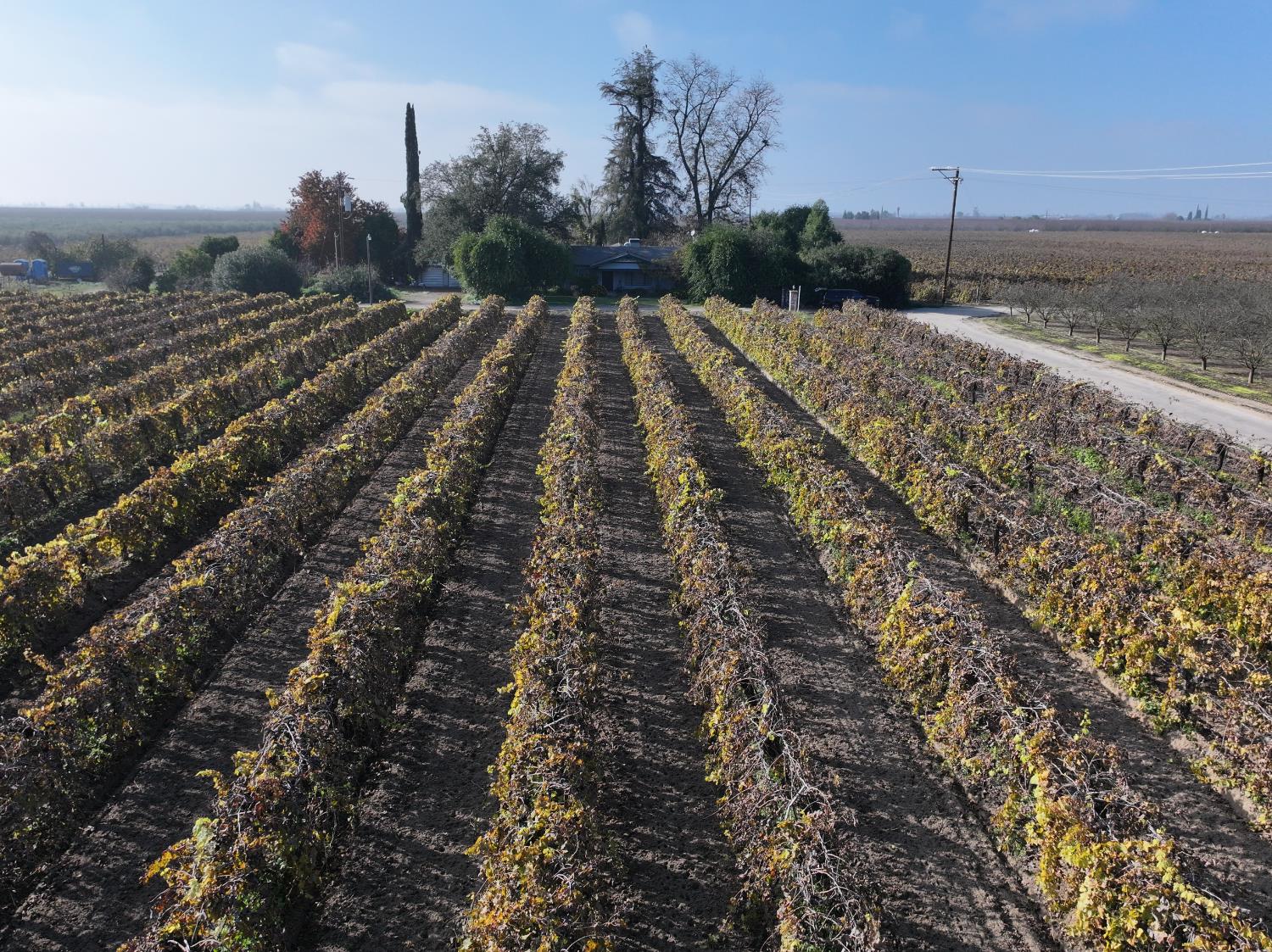 4801 East Parlier Avenue Fowler, CA 93625 - Photo 32 of 52 a view of a backyard of the house