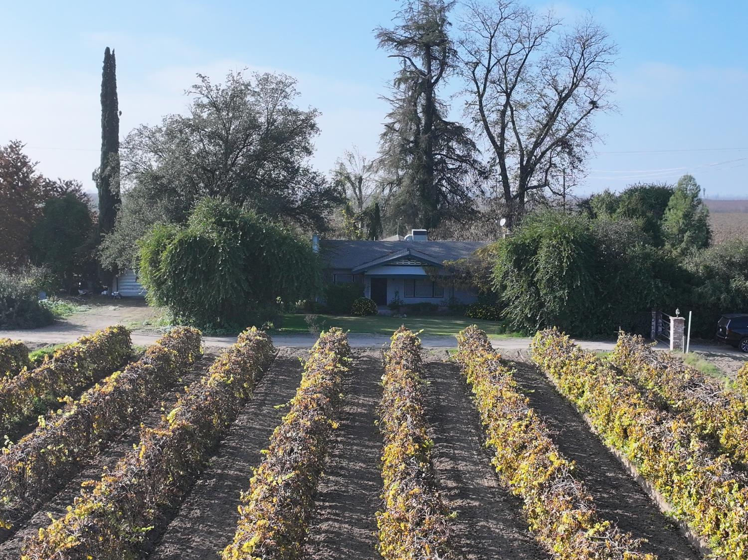 4801 East Parlier Avenue Fowler, CA 93625 - Photo 34 of 52 a view of a backyard of the house