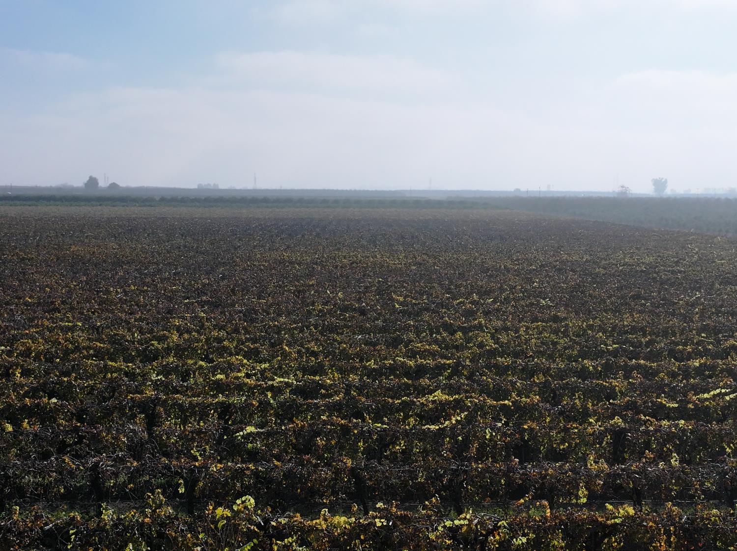 4801 East Parlier Avenue Fowler, CA 93625 - Photo 35 of 52 a view of city and mountain