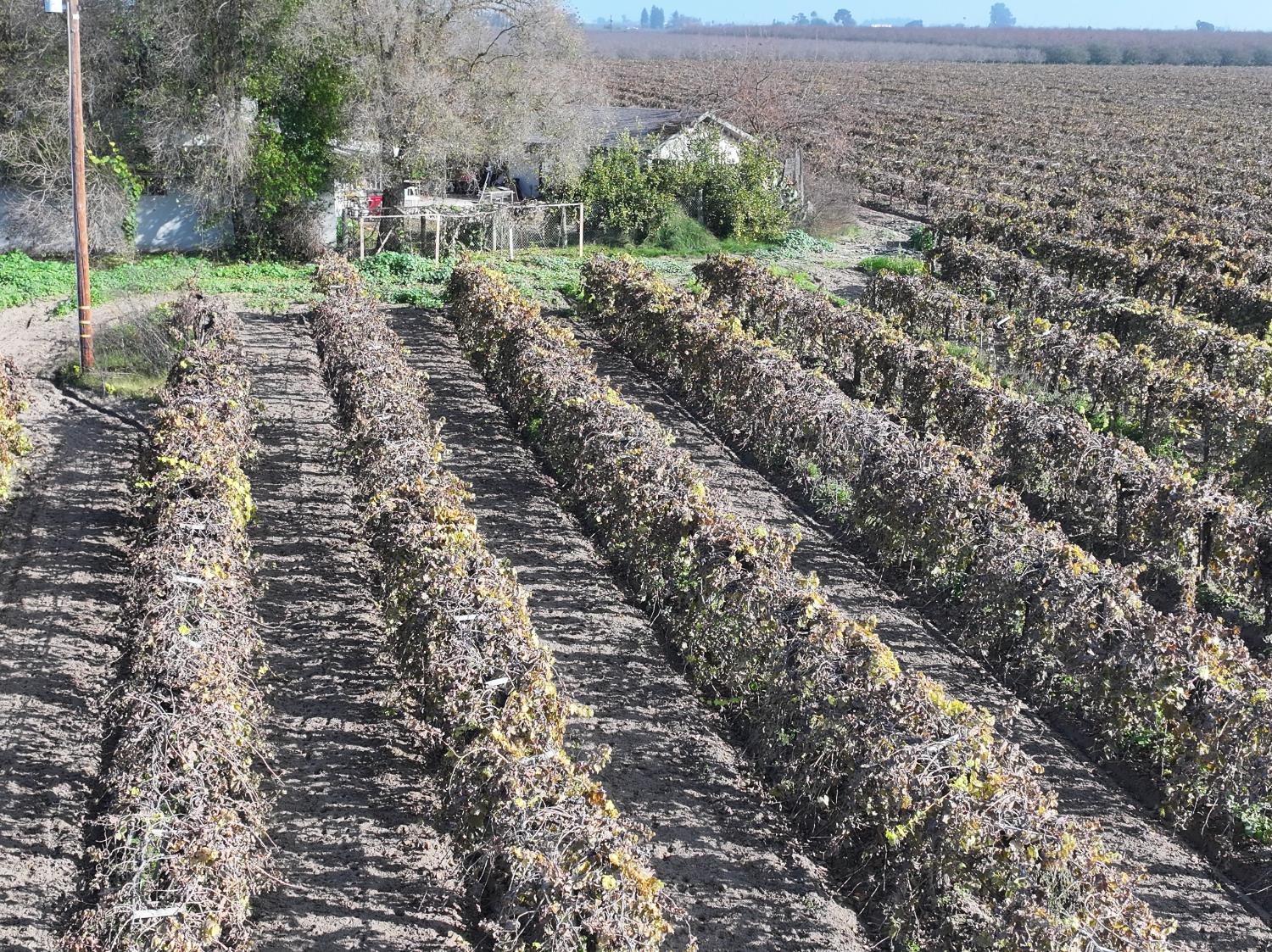 4801 East Parlier Avenue Fowler, CA 93625 - Photo 37 of 52 a view of a pathway with a yard