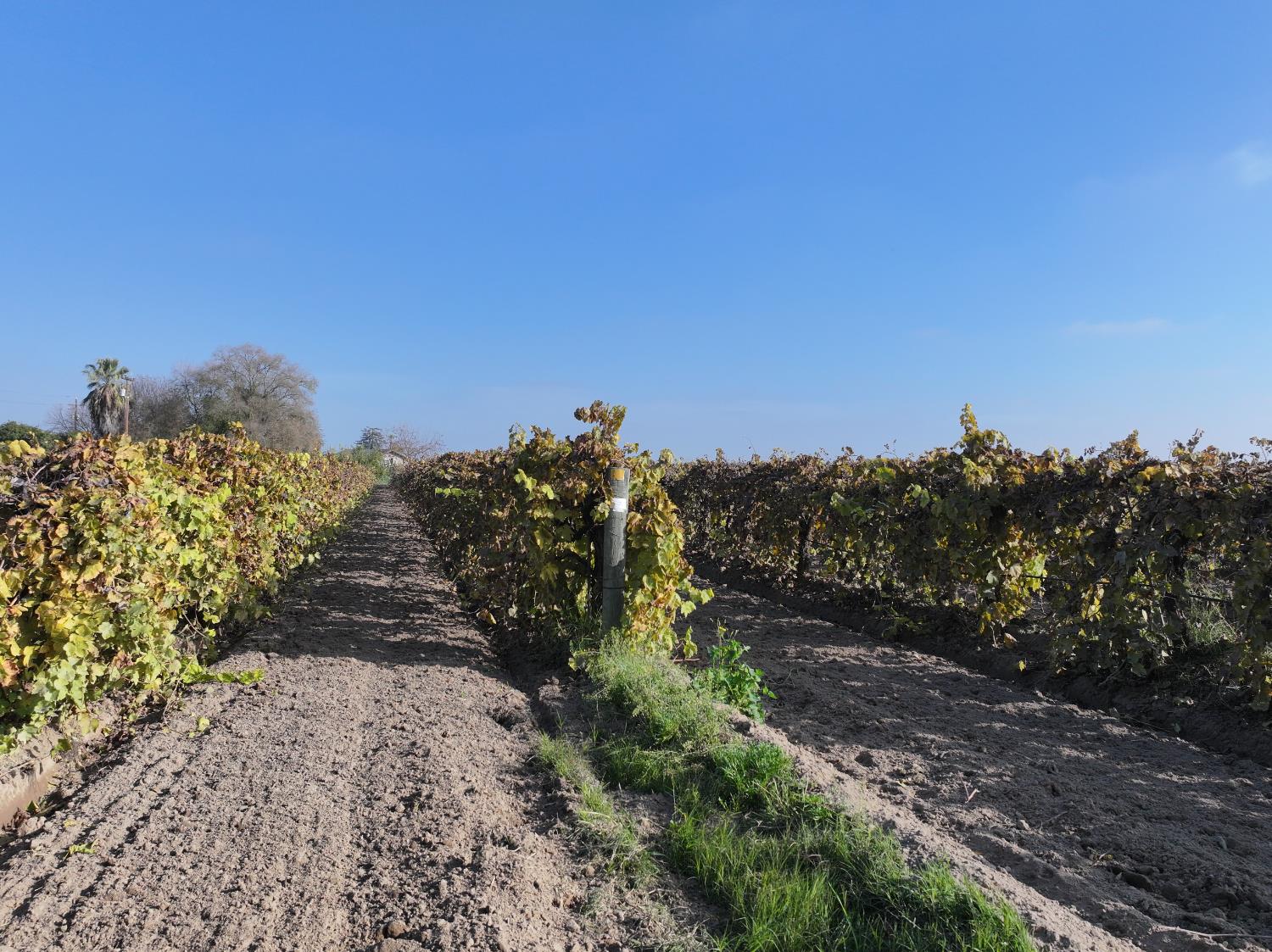 4801 East Parlier Avenue Fowler, CA 93625 - Photo 45 of 52 a view of a road with a building in background