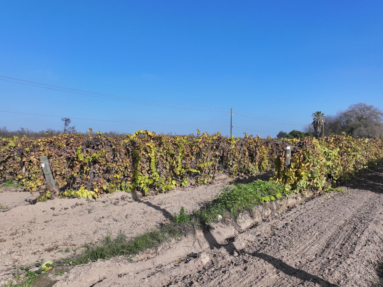 4801 East Parlier Avenue Fowler, CA 93625 - Photo 48 of 52 a view of a road with a building in the background