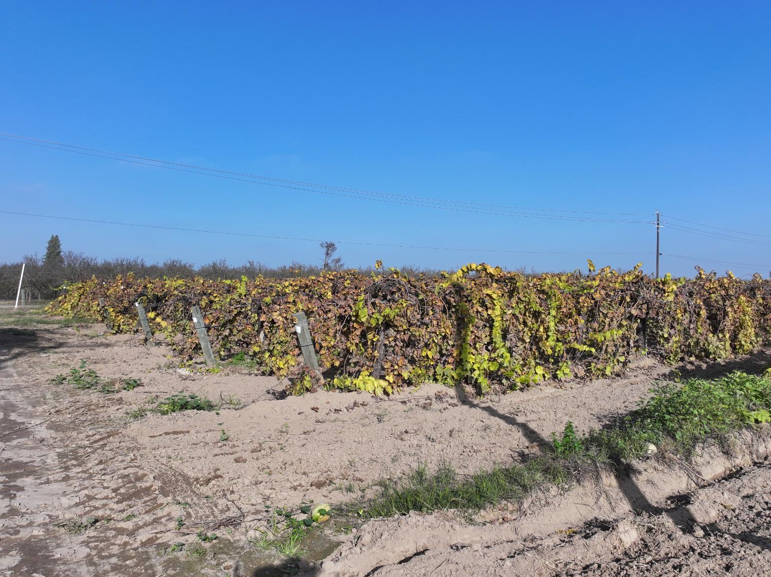 4801 East Parlier Avenue Fowler, CA 93625 - Photo 49 of 52 a view of a beach with a building in the background