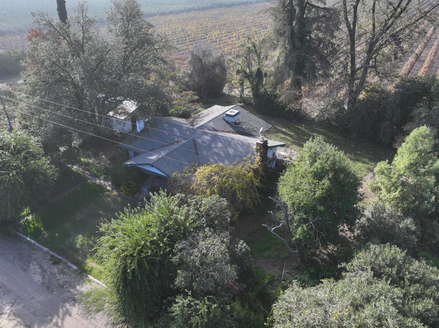 4801 East Parlier Avenue Fowler, CA 93625 - Photo 50 of 52 a view of a yard with plants and large trees