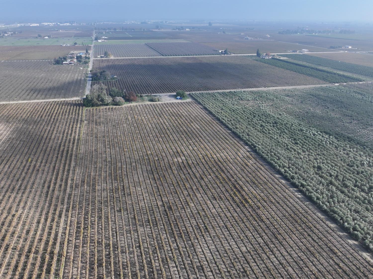4801 East Parlier Avenue Fowler, CA 93625 - Photo 7 of 52 a view of a terrace view
