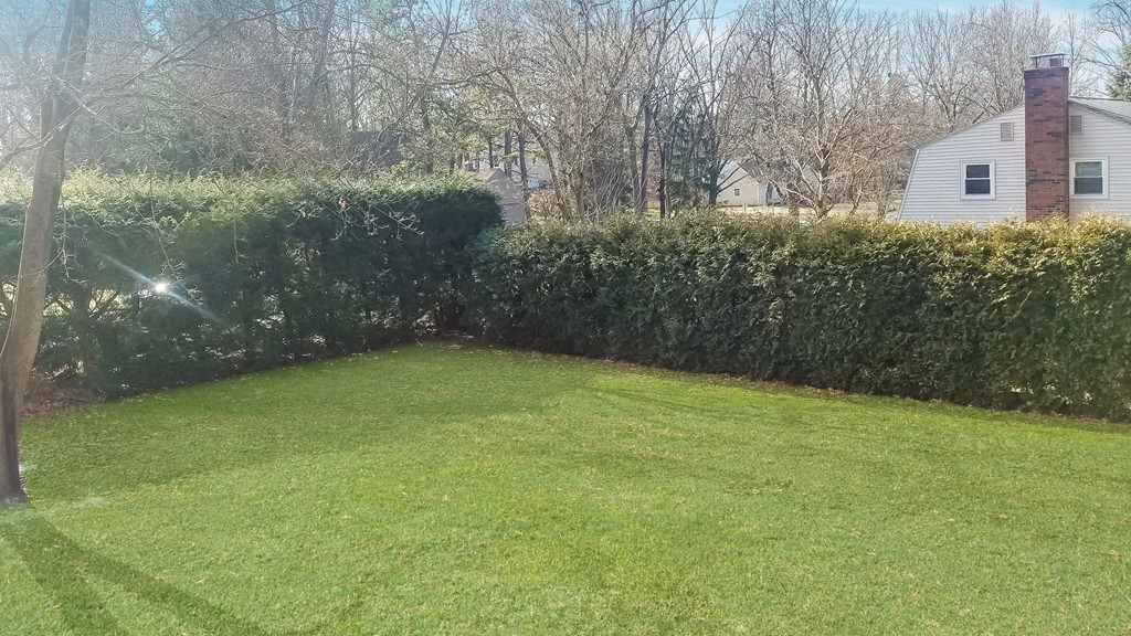 810 Frank Smith Road Longmeadow, MA 01106 - Photo 4 of 30