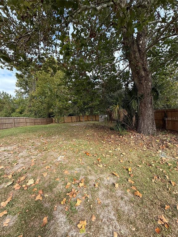 237 Northeast Gum Swamp Road Lake City, FL 32055 - Photo 32 of 34 a view of a yard with a tree