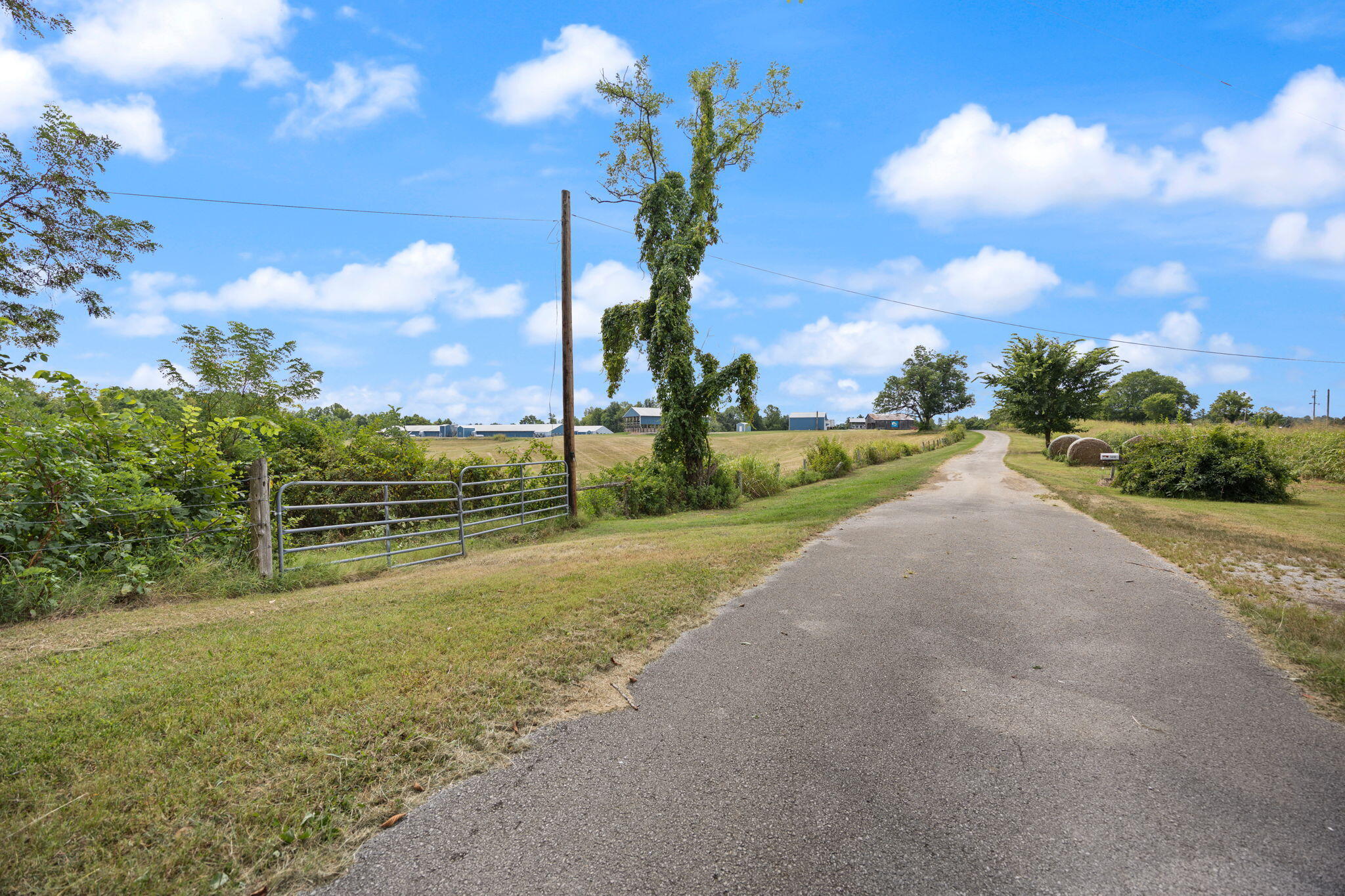 1412 George Garner Road Monticello, KY 42633 - Photo 6 of 42 5-web-or-mls-413A1689