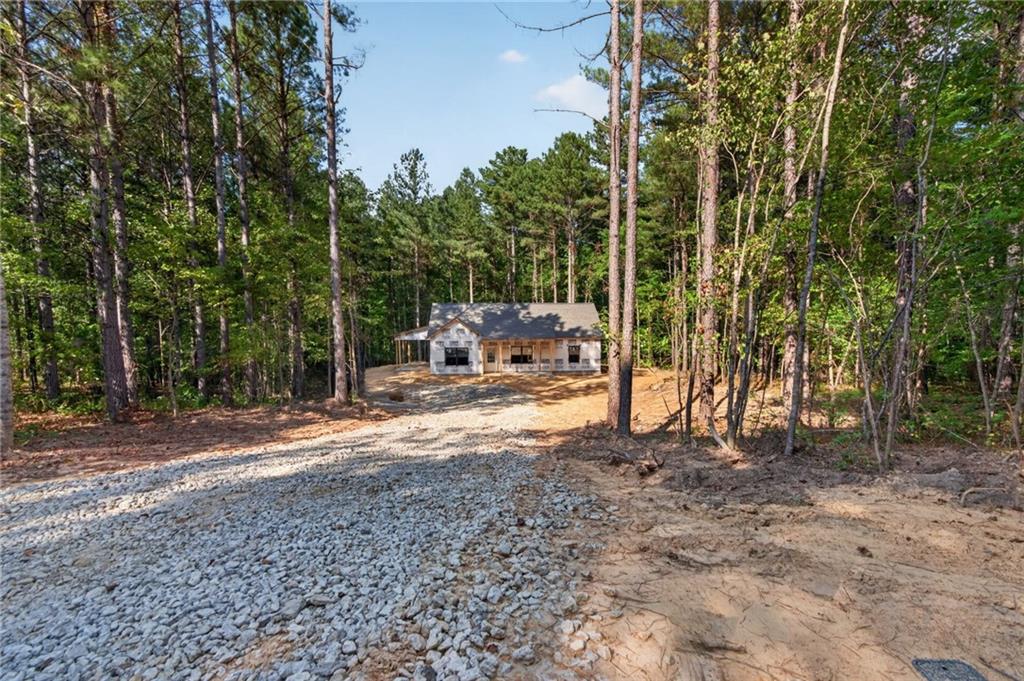 362 Pleasant Hill Road Buchanan, GA 30113 - Photo 4 of 59 Gallery Image 4