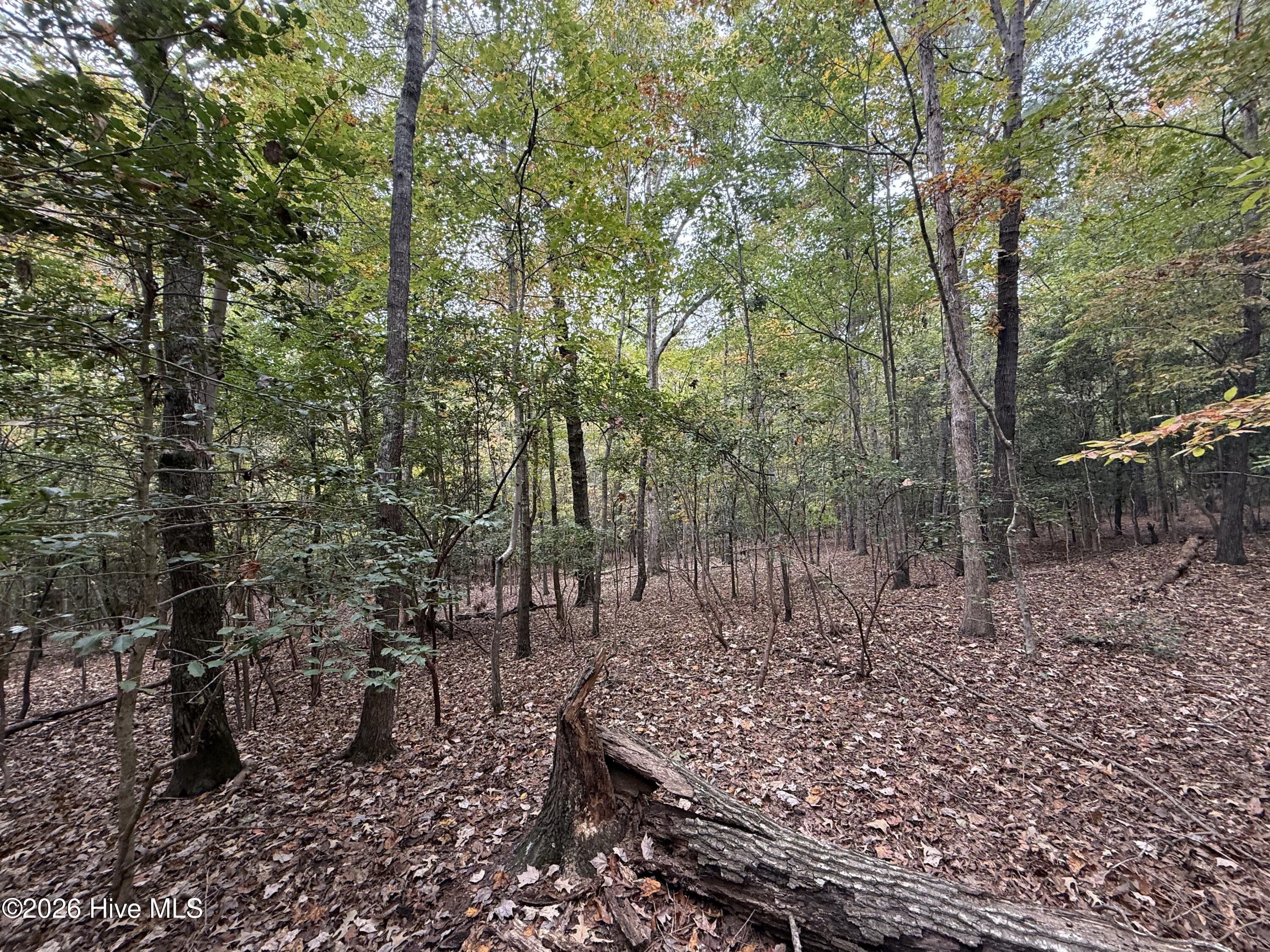 119 Bessie Road Carthage, NC 28327 - Photo 36 of 39